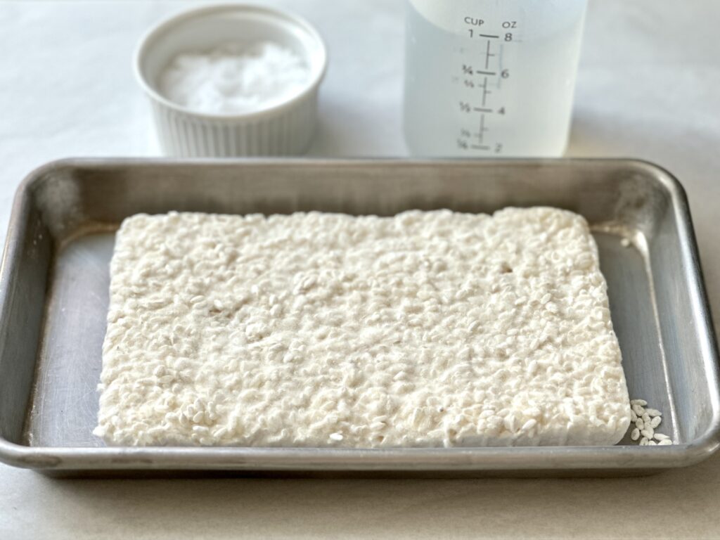 shio koji